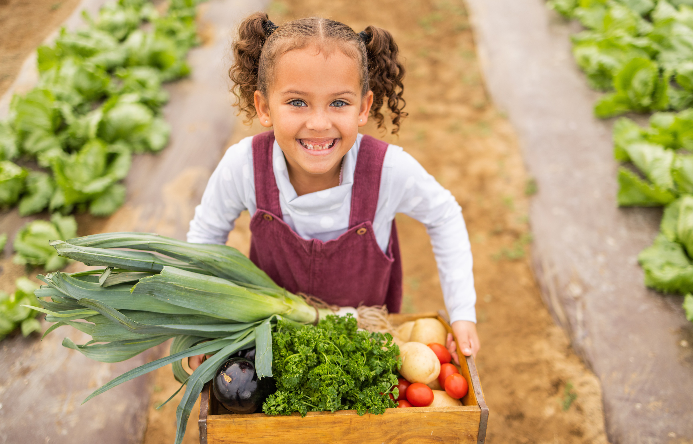 Child, Portrait and Box of Farm Vegetables Excited for Harvest, Farming and Help with Gardening. Youth, Young and Little Girl with Happy Smile Helping in Nutrition, Health and Food Garden.